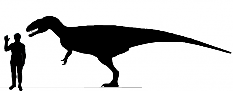 Relative size of Eocarcharia MNN-GAD2-11 and a human, based on Acrocanthosaurus and Concavenator. Based on MNN-GAD2-11 specimen. Body design based on Mapusaurus, Concavenator and Acrocanthosaurus. Author: Daspletosaurus 5000