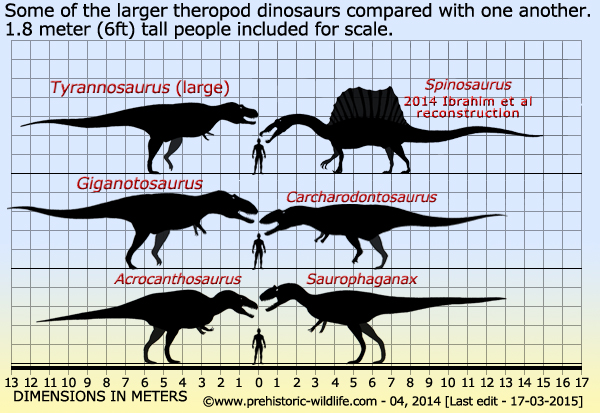 Tyrannosaurus, Giganotosaurus, Carcharodontosaurus, Acrocanthosaurus, Saurophaganax. Artwork by PrehistoricWildlife.com