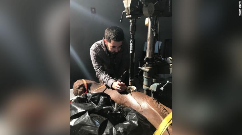 Paleontologist Tom Cullen, a research associate of Chicago's Field Museum, cuts into Sue the T. rex's thigh bone to learn how the massive meat eater grew.