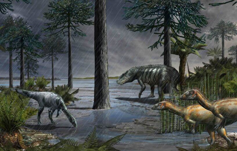 A life-scene from 232 million years ago, during the Carnian Pluvial Episode after which dinosaurs took over. A large rauisuchian lurks in the background, while two species of dinosaurs stand in the foreground, and some rhynchosaurs sit on the logs to the left. Based on data from the Ischigualasto Formation in Argentina. (Credit: © Davide Bonadonna.)