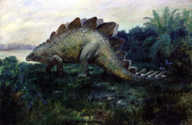 An early depiction of Stegosaurus (Charles R. Knight)