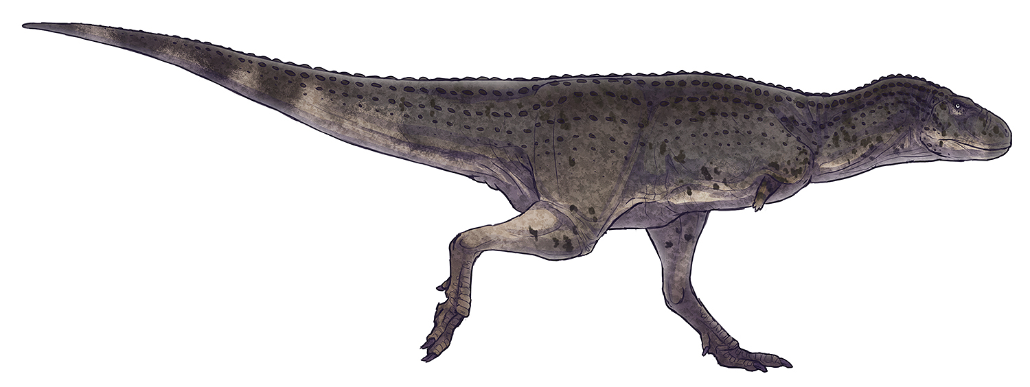 Aucasaurus garridoi by Paleocolour