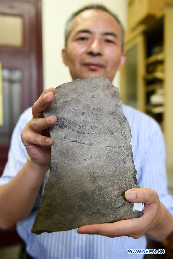 A staff member of the Nanjing Institute of Geology and Palaeontology under the Chinese Academy of Sciences displays the animal fossil footprints, which were made in the Ediacaran Period, June 6, 2018. Chinese and American paleontologists reported in the journal Science Advances the discovery of earliest animal fossil footprint ever found. (Xinhua/Li Bo)