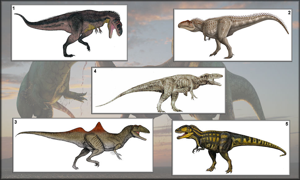 Some of the most known Carcharodontosaurids