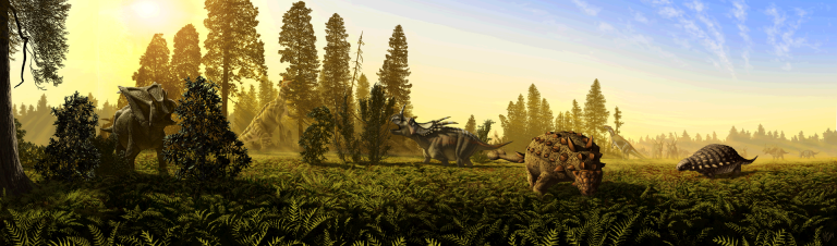 Depiction of dietary niche partitioning among megaherbivorous dinosaurs from the DPF (MAZ-2).  Left to right: Chasmosaurus belli, Lambeosaurus lambei, Styracosaurus albertensis, Euoplocephalus tutus, Prosaurolophus maximus, Panoplosaurus mirus. A herd of S. albertensis looms in the background. Image courtesy of J.T. Csotonyi.