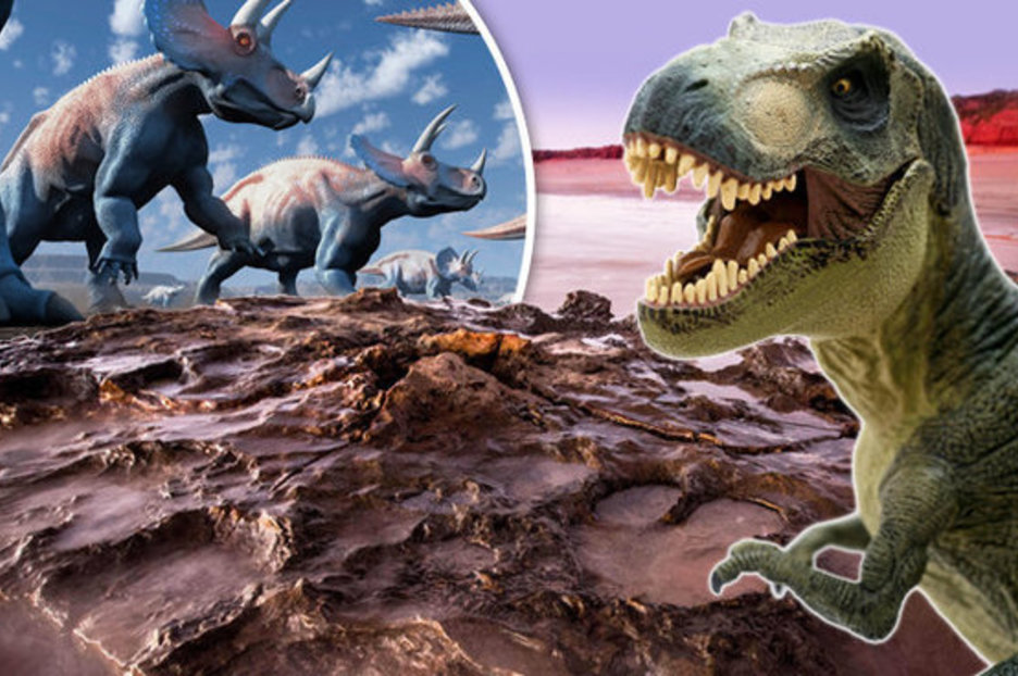 Dinosaurs evolved after dramatic global climate changes killed competitors 