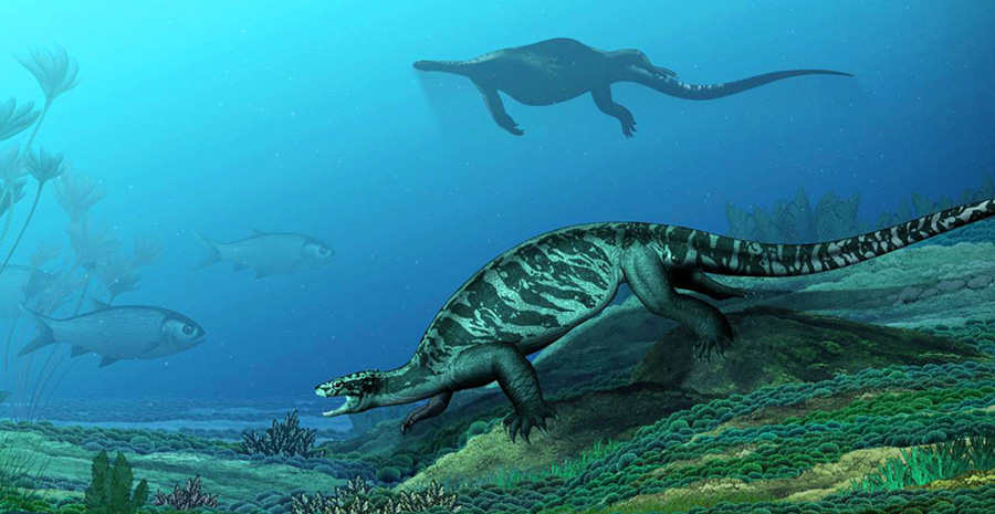 An artist’s depiction of Eorhynchochelys sinensis as it would have appeared in life 228 million years ago in China. Image credit: Institute of Vertebrate Paleontology and Paleoanthropology, Chinese Academy of Sciences.