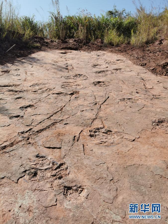 Fossil dinosaur footprints are discovered in Shanghang County, Longyan City, Fujian Province, China, November 9, 2020. /Xinhua