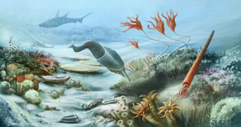 Paleozoic underwater