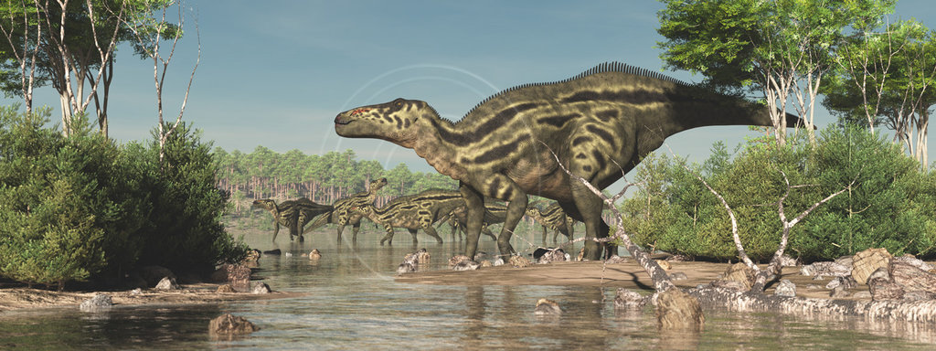 Shantungosaurus by PaleoGuy on DeviantArt