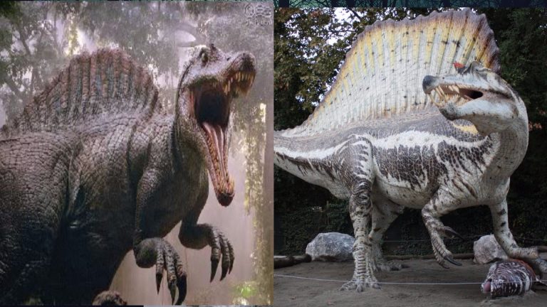 Spinosaurus aegyptiacus: Bipedal or Quadrupedal?