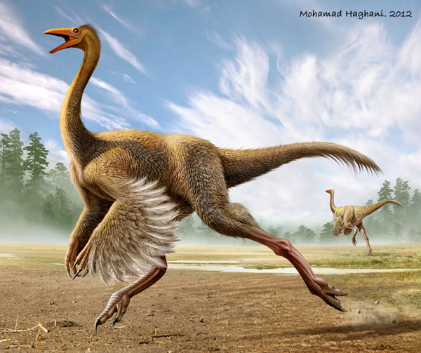 Struthiomimus by Mohamad Haghani