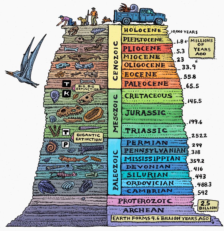 The Geological Time Scale: Timeline of Life on Earth
