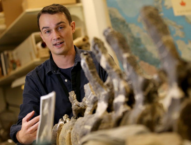 The Science Museum of Minnesota has a new boneman. Alex Hastings is recently started work as the museum’s Fitzpatrick Chair of Paleontology. Here, Hastings talked about a Haplocanthosaurus skeletal fossil in the museum’s bone lab Tuesday. DAVID JOLES • STAR TRIBUNE