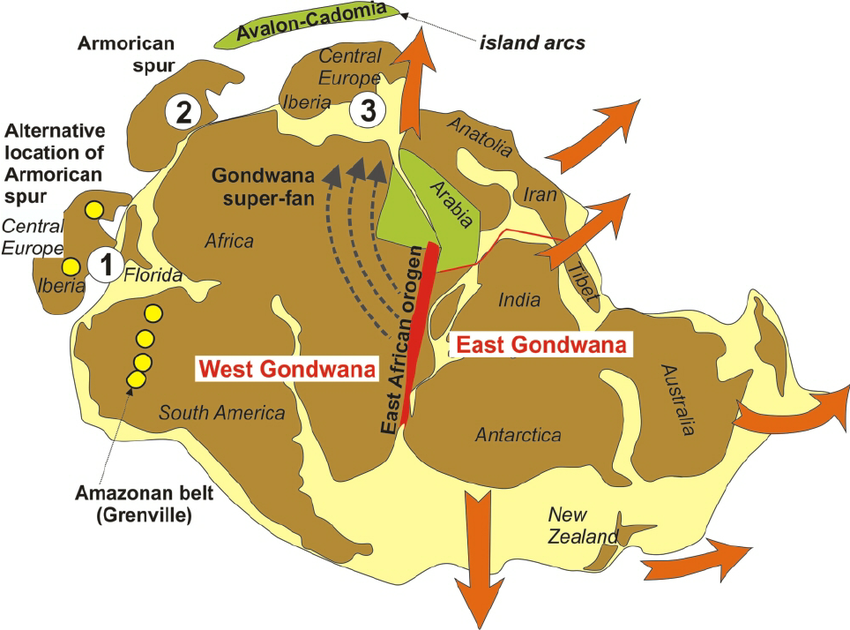 The Gondwana supercontinent after amalgamation of West and East Gondwana