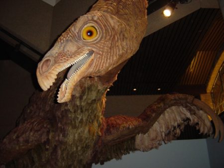 Therizinosaurus model, Royal Ontario Museum. Author: Aaron Gustafson