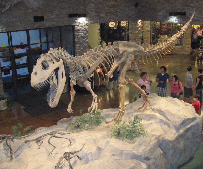 This is the main lobby of the Museum of Ancient Life at Thanksgiving Point in Lehi, Utah, U.S.A. It displays a depiction of a Torvosaurus dinosaur skeleton pursuing a herd of Othnielosaurus. Author leon7