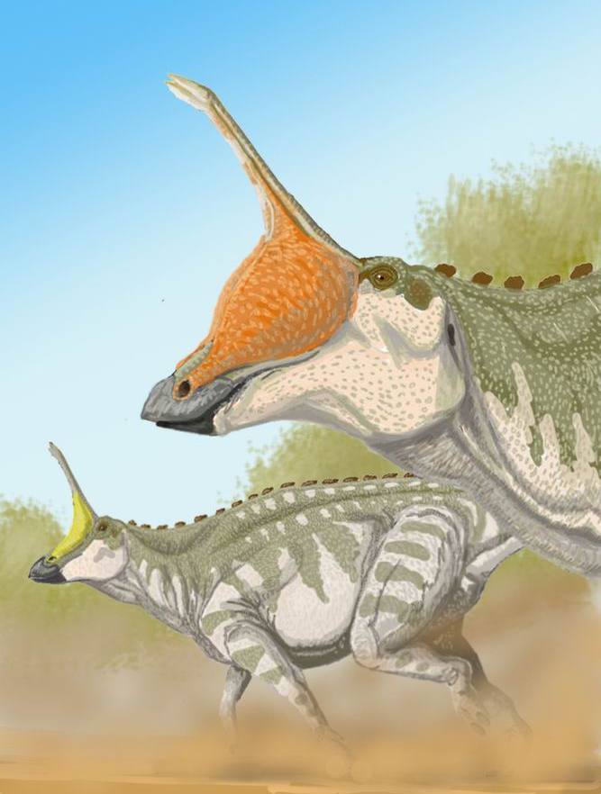  An old style restoration of Tsintaosaurus by ДиБгд, with inflatable sacs at the base of the spike. Image from Wikimedia Commons.
