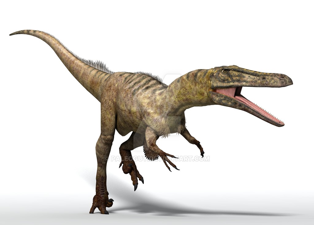 Austroraptor PaleoGuy's avatar By PaleoGuy