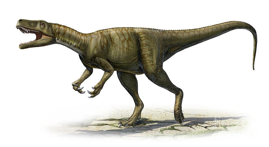 Herrerasaurus ischigualastensis by Sergey Krasovskiy