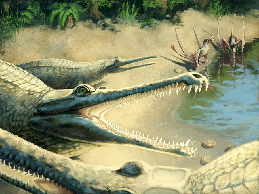 Life reconstruction of Mystriosaurus laurillardi. Image credit: Julia Beier.