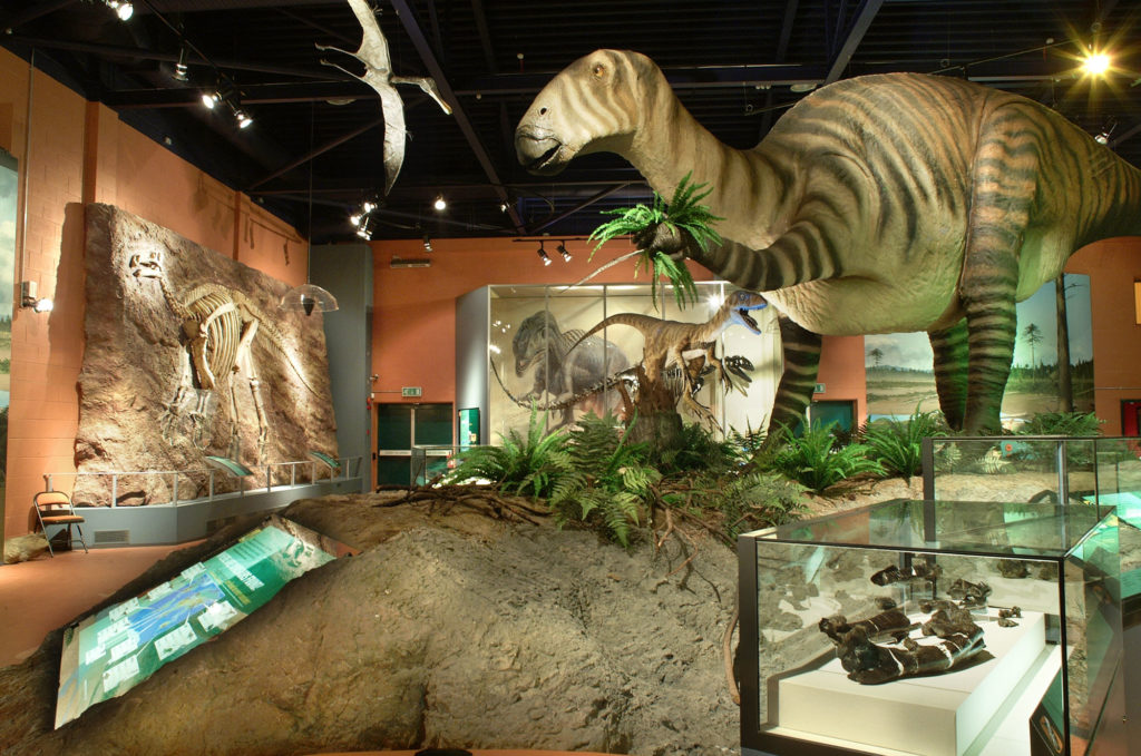 © Dinosaur Isle Museum. Photograph by Thearle