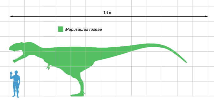 Size comparison of Mapusaurus roseae and a human. Adapted from an illustration by Ville Sinkkonen. Author: Matt Martyniuk & Ville Sinkkonen