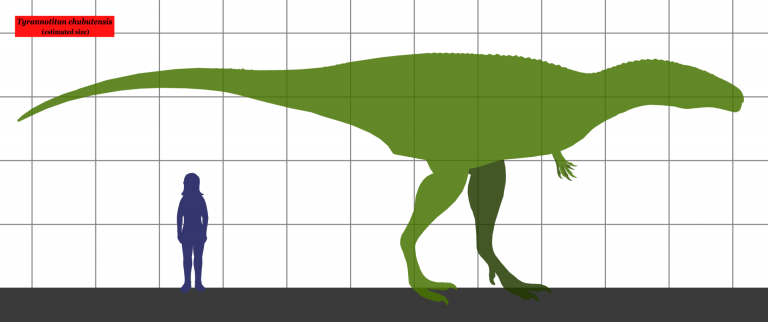 Estimated size of Tyranotitan, compared to a human. Author: Conty