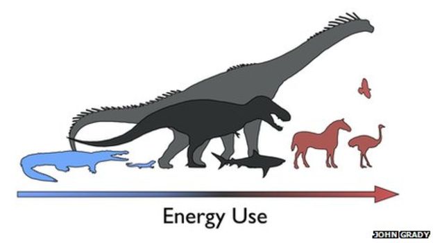 Dinosaurs as mesotherms by John Grady