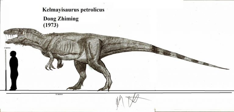 Kelmayisaurus petrolicus by Teratophoneus