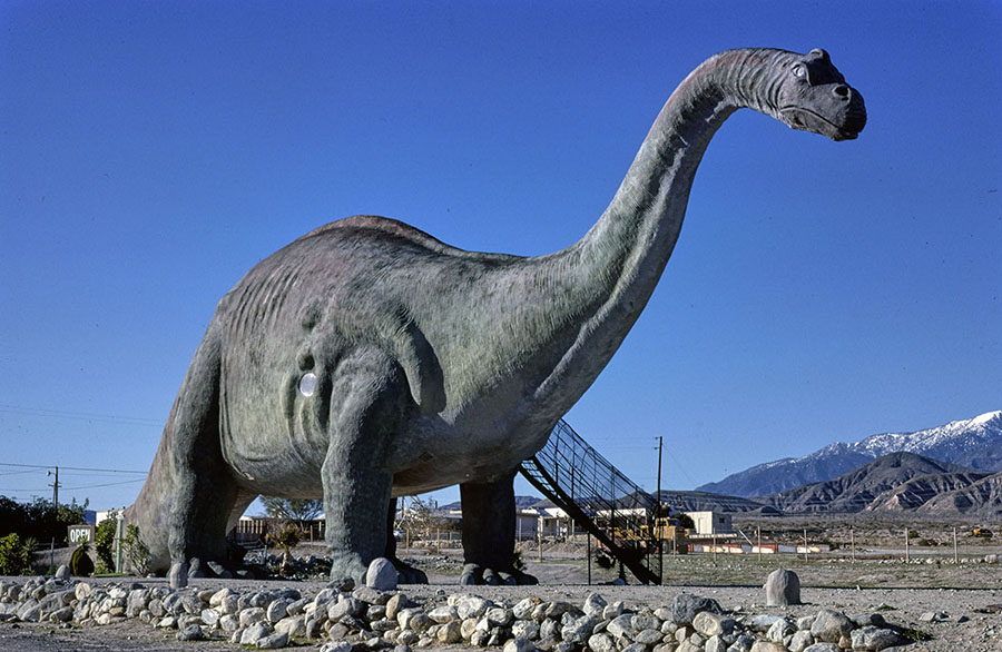 A walk-in Brontosaurus at a prehistoric museum in Cabazon, California, photographed in 1978 #  John Margolies / Library of Congress