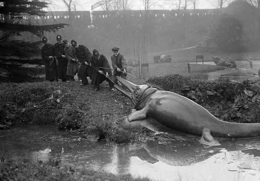 Original caption, February 1927: "A model of a prehistoric Icthyosaurus is dragged from its pond in the grounds of Crystal Palace, London, for its annual clean. The 'keeper' is being helped by some of the local police force." #  Fox Photos / Getty
