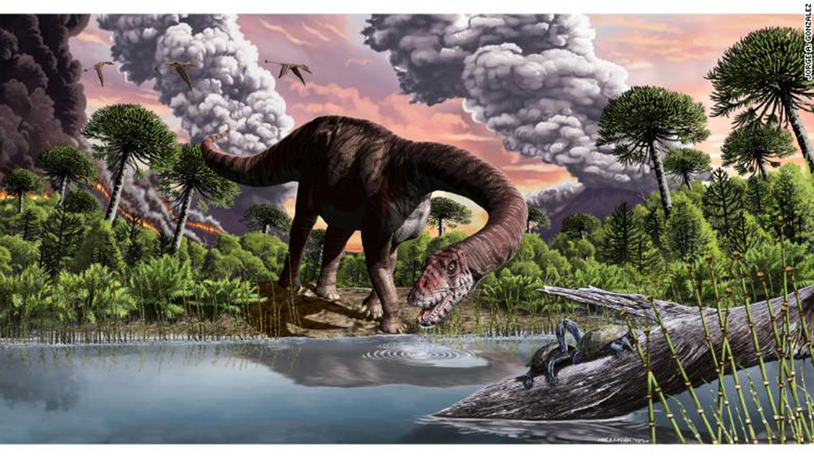 The dinosaur's long neck would have enabled it to reach tall conifer trees and stay in one spot while it ate, since moving such a huge body expended a lot of energy.