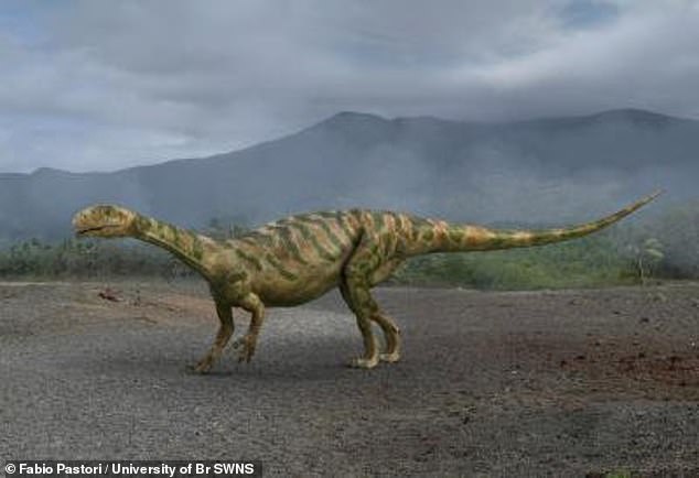The findings have provided greater insight into the type of surroundings inhabited by the Thecodontosaurus, a small dinosaur the size of a medium-sized dog with a long tail also known as the Bristol dinosaur.