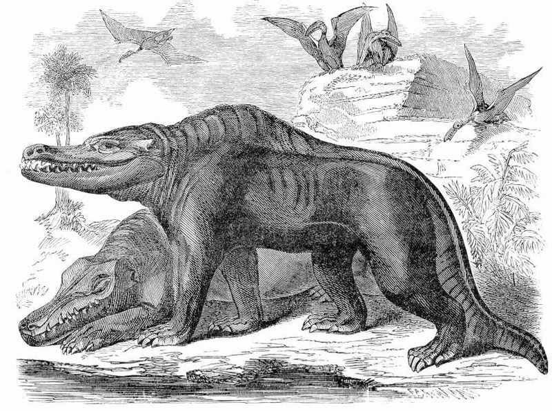 Samuel Griswold Goodrich: Illustrated Natural History of the Animal Kingdom, 1859. Today, paleontologists believe Megalosaurus was more likely bipedal.