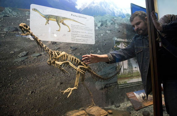 A report suggest the dinosaur effectively fills a ‘large gap’ between the two dinosaur groups