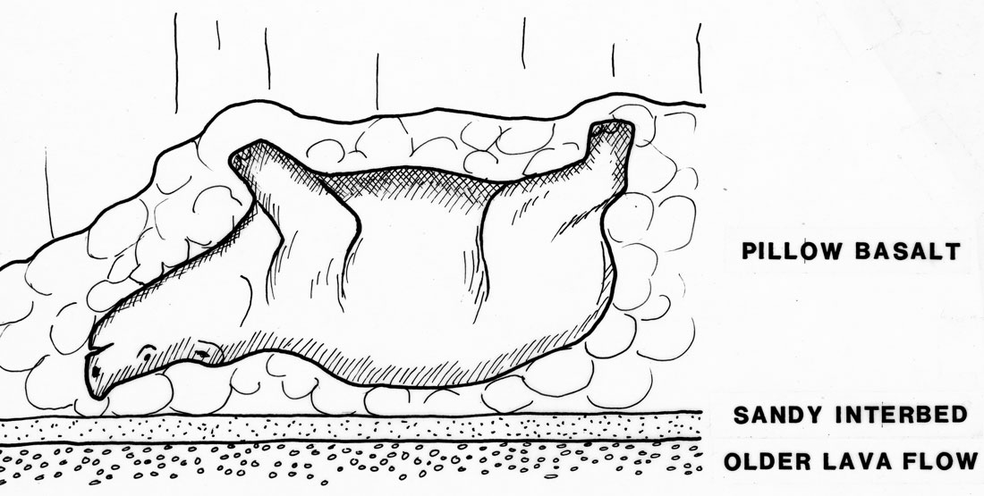 A sketch of the rino buried upside down within the pillow bassalt