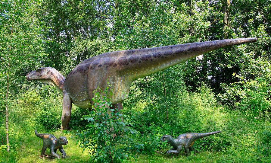  An Iguanodon with babies. Photograph: blickwinkel/Alamy