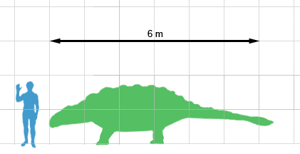 Size of the largest known specimen (green), compared to a human
