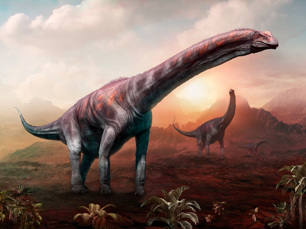 Artist’s impression of an Argentinosaurus (Getty)