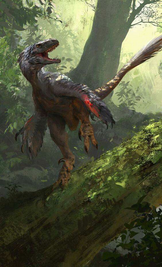Atrociraptor. Art by Jonathan Kuo.