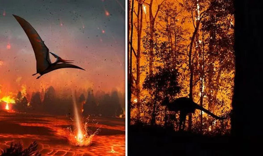 Australia fires could lead to ‘mass extinction’ just like the dinosaurs scientist warns (Image: GETTY)