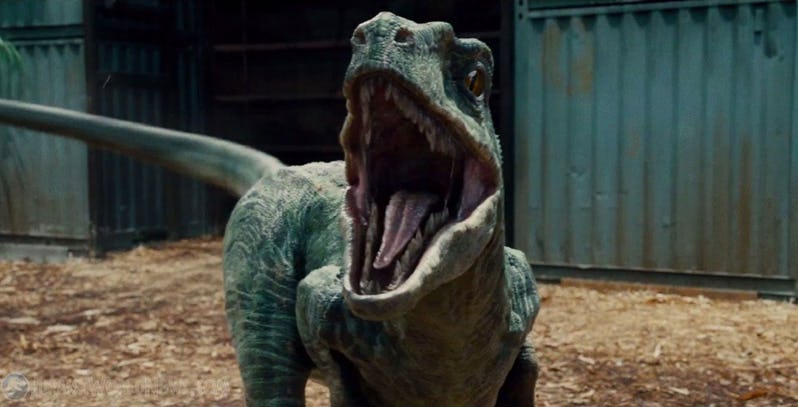 Blue-the-Velociraptor-in-Jurassic-World