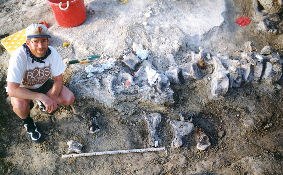 Photograph from the excavations in 1998, with 150-million-year-old brachiosaur foot bones below a tail of a Camarasaurus. Image credit: University of Kansas.