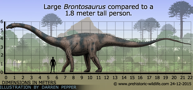 Brontosaurus by Prehistoric Wildlife