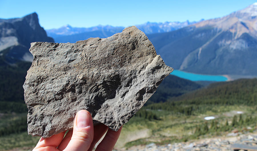 The Burgess Shale, in the Canadian Rocky Mountains, contains impressively well preserved fossils that are more than 500 million years old. Finding fossils of earlier life has been challenging.  Image credits: NorthStarPhotos via Shutterstock