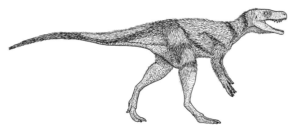 Restoration of Chindesaurus bryansmalli with likely protofeathers based on phylogenetic bracketing.