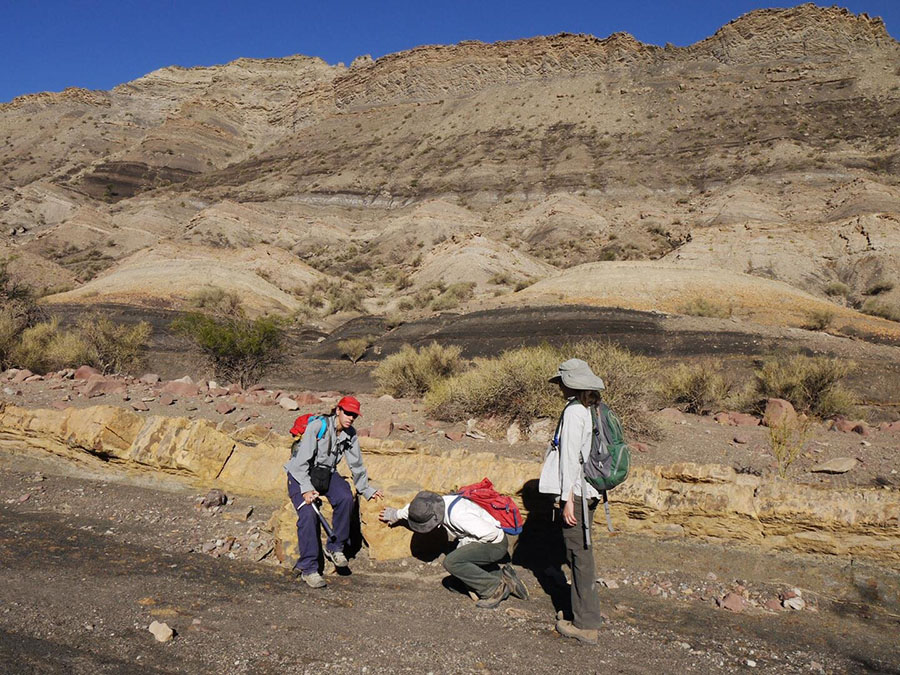 Co-authors Adriana Mancuso (left) and Cecilia Benavente (right), along with colleagues, examine dinosaur-like footprints in the Los Rastros Formation at the study area in northwestern Argentina. Credit: Randall Irmis