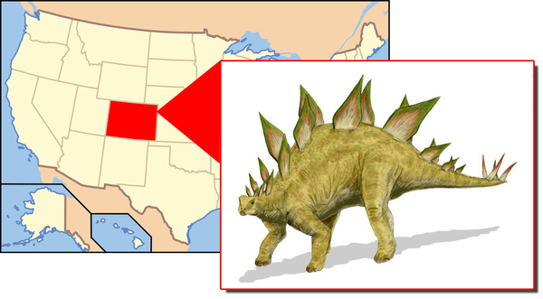 Colorado’s state dinosaur is the Stegosaurus, since 1982.
