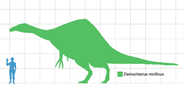 Deinocheirus size compared to a human by Matt Martyniuk